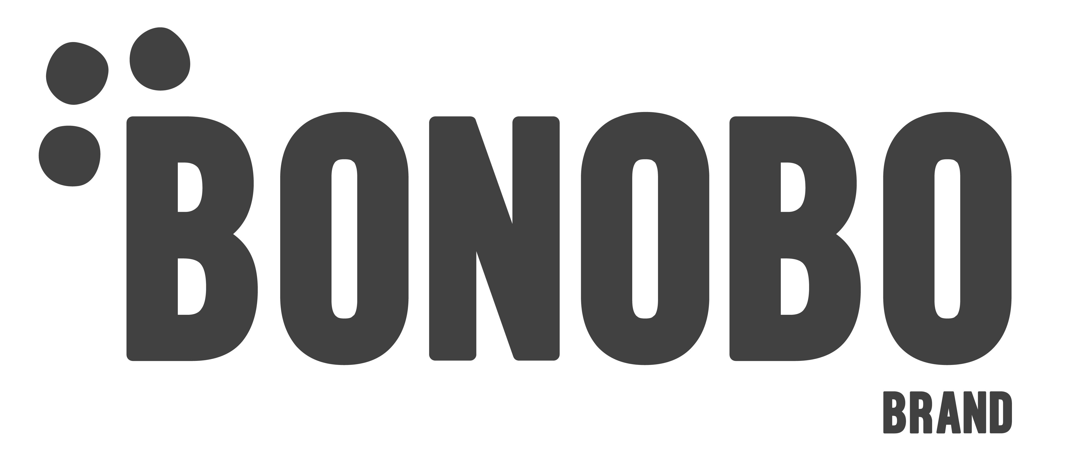 Logo-gris-resize
